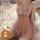 Sheer pink lanqu plus size lingerie set with pearl details, featuring a 3-piece bridal-inspired sleepwear outfit for alluring...