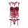Womens red lace mesh shapewear set featuring a sexy 3-piece bodysuit with cut-out details and style design.