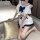 Pure & seductive student role play lingerie set - cute jk style bedroom outfit for women, featuring a sailor-inspired design ...