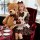 A stylish maid outfit featuring a sweet french-inspired design, complete with puffed sleeves and an apron, paired with a choc...