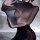 Genuine yun sensual 5d ultra-thin horse oil sleep socks – seamless, glossy, transparent unisex legwear, showcased with smooth...