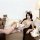 Woman lounging on sofa in adorable bear maid costume set with plush ears, lace lingerie, and garter stockings.