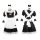 Anime cat girl lingerie set - cute maid costume with lolita style, featuring black and white design, cat ears, and lace detai...
