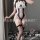 Anime maid costume set: sexy cosplay lingerie bodysuit with adjustable straps, soft fabric, and fishnet stockings.