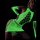 Fluorescent neon bodysuit with intricate lace patterns and cutouts, perfect for nightclub wear and sensual party style.