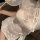 Cherry blossom lingerie set - sexy lace bare-butt qipao sleepwear, sheer vintage-inspired bedroom outfit featuring delicate l...