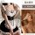 Cute maid sleepwear set - sexy schoolgirl inspired nightgown & lingerie, featuring a charming white and black maid outfit wit...