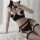Model wearing dz gui ruo black lace lingerie set with butterfly knot details, open-crotch design, and fishnet stockings on wh...