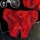 Escape princess lace cotton bikini panties for women – romantic pink sheer floral underwear