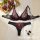 Elegant black and red lace bra set with sheer panels, push-up support, and matching thong, styled with roses and lipstick.