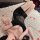 Woman lying on bed wearing feiniao kuiyue sheer lace sleep dress with transparent mesh and delicate straps.