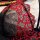 Luxury lace sheer bra set with red floral embroidery on black mesh, plus size sexy lingerie for women.
