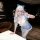 Woman in blue and white lolita maid costume with bow, posing playfully indoors.