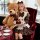 A stylish maid outfit featuring a sweet french-inspired design, complete with puffed sleeves and an apron, paired with a choc...
