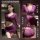 Mannyan yujie purple deep v sheer mesh bodycon dress with lace trim, sexy lingerie outfit featuring ruched skirt and cutout d...