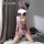 Woman modeling pink velvet bunny lingerie set with open-crotch bodysuit, lace trim, and thigh-high stockings for role play.