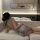A woman lounges on a couch wearing a floral-patterned mi zhi lian sensual lingerie set, featuring a modest yet alluring desig...