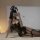 A woman poses in a black lace lingerie set featuring a butterfly headband, showcasing the midnight charm sm lingerie sets ele...