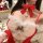 Mina christmas date night lingerie set - red sheer mesh babydoll with faux fur trim, elegant holiday sleepwear