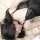 Elegant black lace nightwear set with floral designs, perfect for romantic summer nights. ideal european-style sleepwear for ...