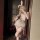 Woman modeling nightsiyese seductive bunny girl costume set with grey crop top, mini skirt, white stockings and pink bunny ea...