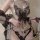 Sheer black butterfly lace bodysuit with pearls, featuring a sensual see-through top and tie-strap thong ensemble.