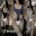 Three women modeling plus size sexy bodysuit sets in black, blue, and white. these seductive open-crotch lingerie outfits fea...