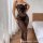 Sexy lace bodysuit set featuring sheer polka dot mesh dress with heart detail and thong, perfect for plus-size women seeking ...