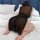 Woman wearing plus size sheer mesh cheongsam lingerie dress with high slit, kneeling on bed in midnight allure style.