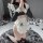Sexy maid costume for women featuring a cute black and white outfit with ruffled details, perfect for role play and cosplay.