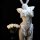 White bunny girl cosplay lingerie set with lace, ruffles, and open-crotch design on mannequin beside white roses.