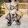 Qing lian yi sexy maid costume set featuring a flirty cupcake skirt with floral patterns, perfect for small bust enhancement.