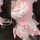 Qingran maid costume cosplay outfit - cute cat ear lolita servant dress for women featuring pink bows and ruffles, perfect fo...