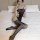 Woman wearing qingyege sheer mesh bodysuit and thigh-high stockings on bed.