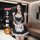 200 3 qqny pure allure sleepwear set – elegant sensual lingerie for women, luxury bedroom wear with flirty charm