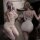 Elegant sensual lingerie set featuring a beige mini dress with lace details and stockings, perfect for luxury bedroom wear.