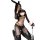 Sexy sheer mesh bunny outfit with rabbit ears, perfect for cosplay and role play. includes black lingerie set.