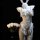 White rabbit girl lingerie set with lace trim, bunny ears, and bow details on a mannequin beside white roses.
