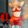 Red lace sexy bra set featuring heart embellishments, sheer details, and garter straps for a glamorous look.