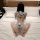 Woman wearing sexy backless bunny costume with deep v lace and open-crotch design, kneeling on bed in seductive role play out...