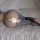 Woman wearing sexy ice silk open-crotch yoga pants with zipper design, lying on bed with white feather accent.