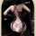 Woman wearing a sexy lace bodysuit with pvc cross straps, sheer mesh panels, and bell trim detailing.