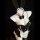 Sexy maid costume lingerie set featuring underwire push-up bra and matching sleepwear, complete with bunny ears and bow tie a...