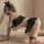 Sexy maid costume set featuring black lace lingerie and stockings, perfect for erotic sleepwear outfits.