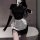 Sexy maid costume for women featuring a black top, white apron, and thigh-high stockings, perfect for cosplay or nightclubs.