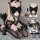 Sexy maid costume set for women - lace role play outfit with open-crotch design, erotic uniform for couples