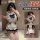 Sexy pure & tempting qq college-style lingerie set - cute jk student uniform outfit, no-remove design