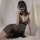 Woman in black lace cami and matching briefs, posing seductively on bed with sheer sleepwear set for intimate nights.