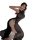 Sexy high-slit beach cover-up dress set featuring a sheer black design with red accents, perfect for women seeking stylish sw...