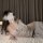 Woman lounging on bed in sexy transparent lace bodysuit with open-crotch design, paired with a cozy cardigan and gray sweatpa...